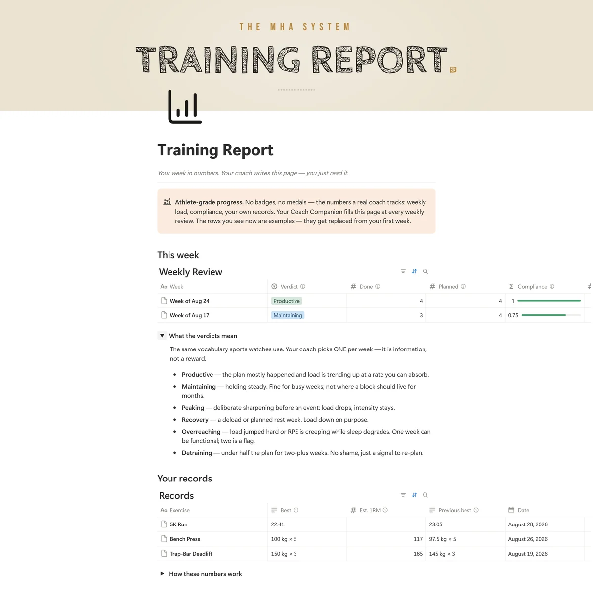 Training Report page: weekly verdict, compliance and personal records